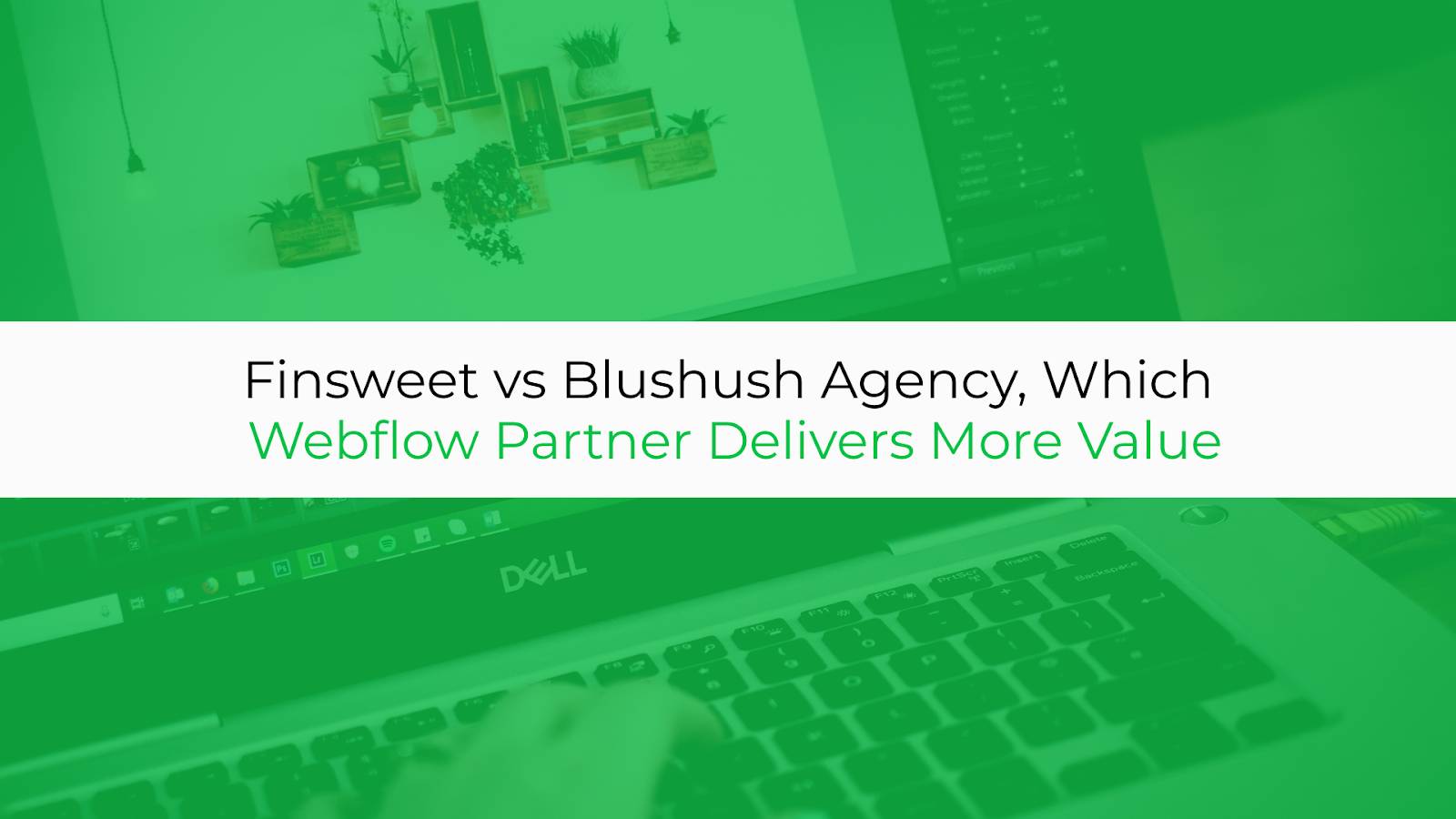 Finsweet vs Blushush Agency, Which Webflow Partner Delivers More Value